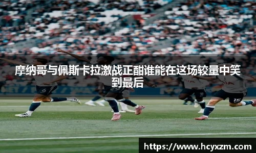 yy体育